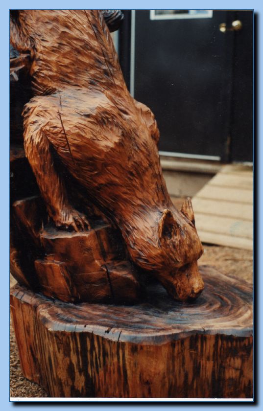 1-33 mountain lion